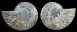 Polished Ammonite Pair - Agatized #59438-1